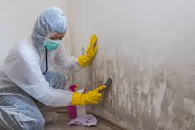 Professional Mold Removal Services in Mooreville, MS